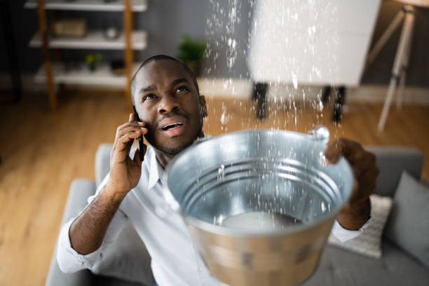 Best Water damage restoration company  in Eudora, AR