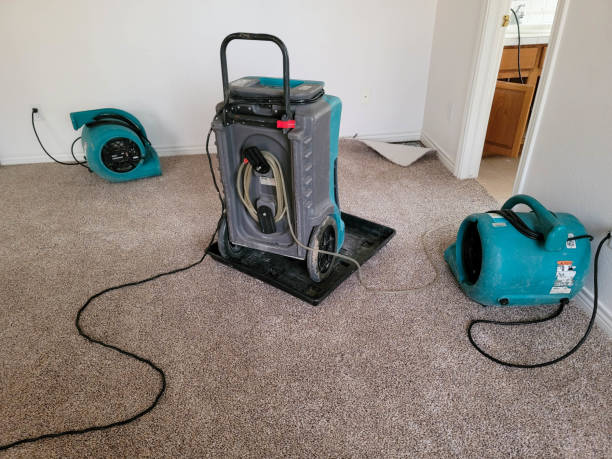  Eudora, AR Water damage restoration Pros