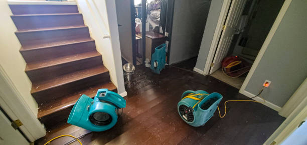 Best 24/7 water damage repair  in Eudora, AR