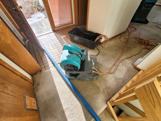 Best Commercial water damage restoration  in Eudora, AR
