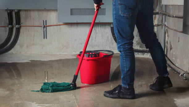 Best Fire Damage Restoration  in Eudora, AR