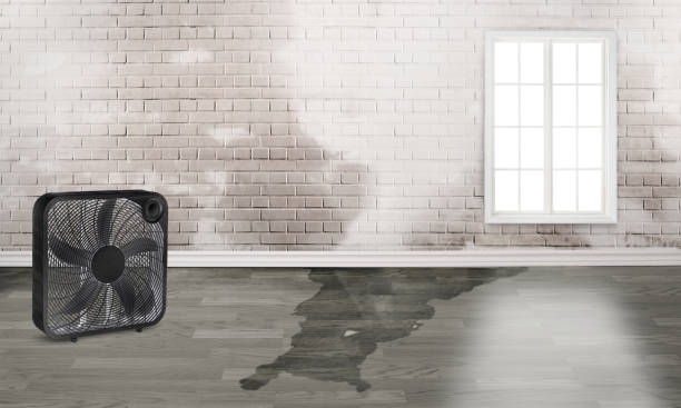 Best Sewage cleanup and water damage restoration  in Eudora, AR