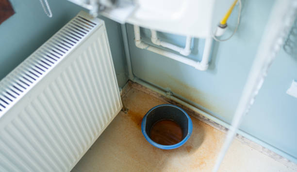 Best Mold removal after water damage  in Eudora, AR
