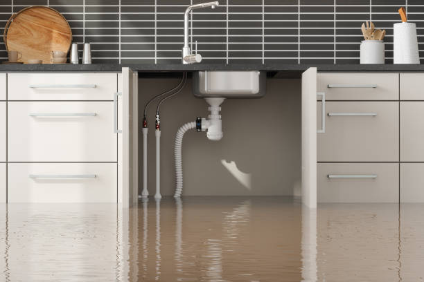 Best Ceiling water damage repair  in Eudora, AR