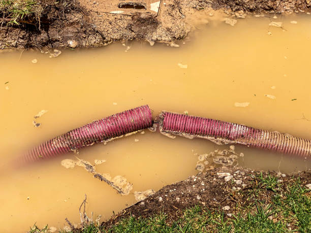 Best Water damage restoration near me  in Eudora, AR